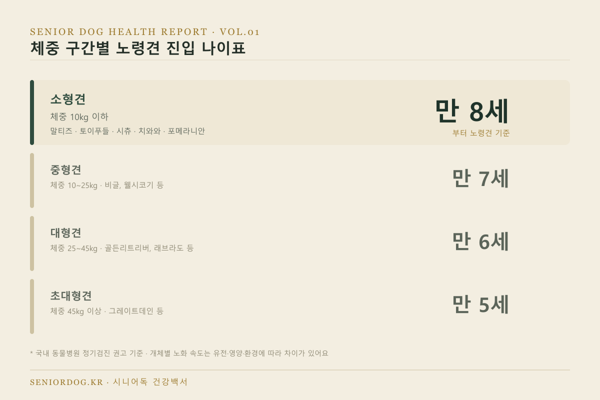 체중 구간별 노령견 진입 나이표 인포그래픽 - 소형견 8세, 중형견 7세, 대형견 6세, 초대형견 5세