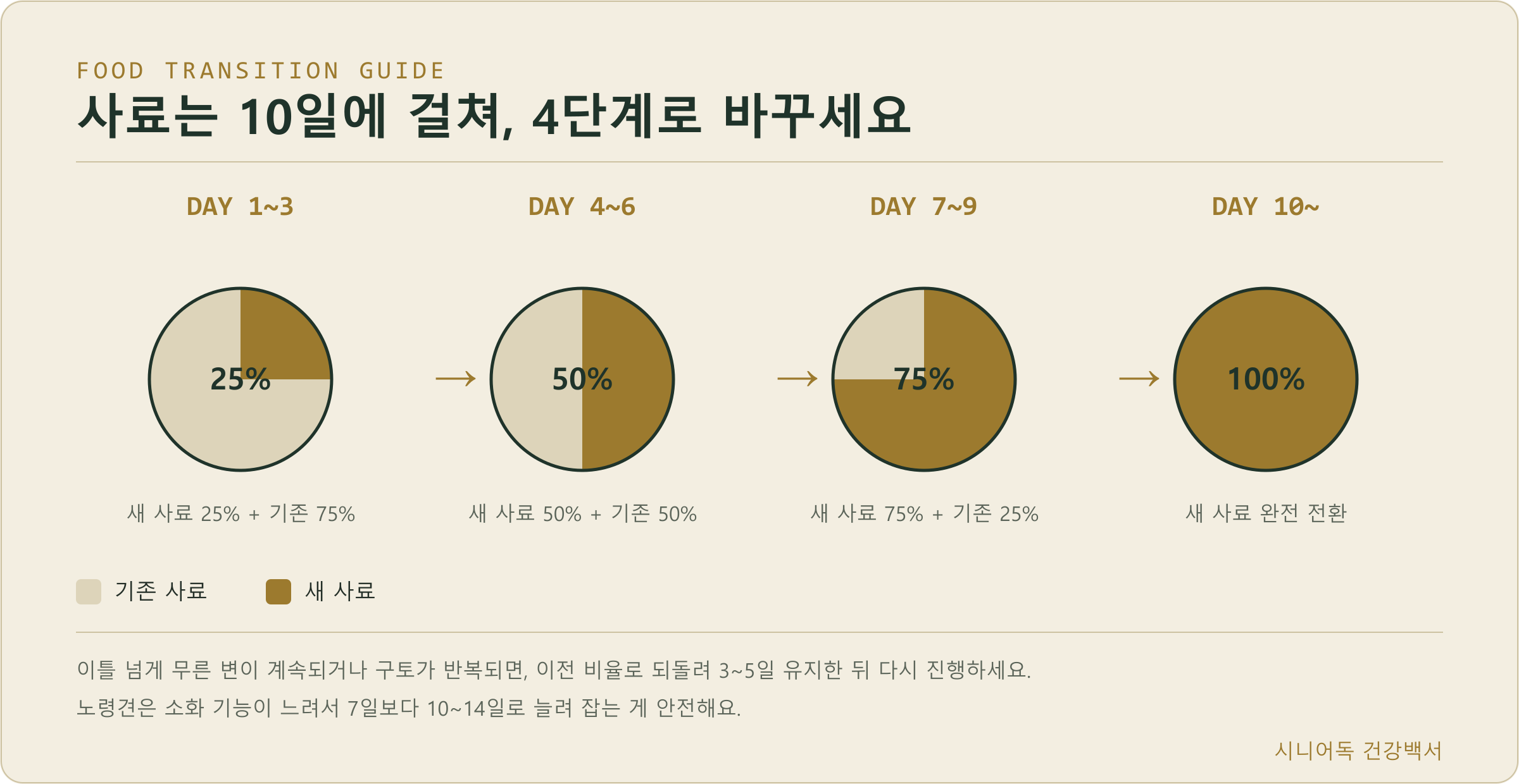 노령견 사료 전환 4단계 비율 인포그래픽 - Day1~3 25%, Day4~6 50%, Day7~9 75%, Day10~ 100%