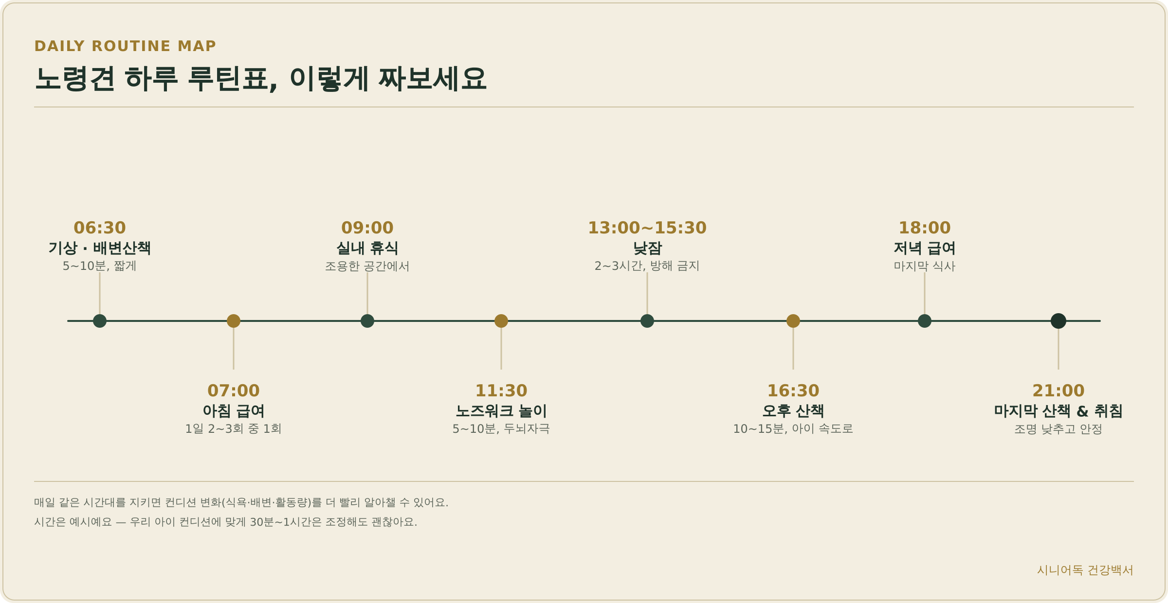 노령견 하루 루틴표 인포그래픽 - 기상 배변산책부터 아침급여, 실내휴식, 노즈워크, 낮잠, 오후산책, 저녁급여, 마지막 산책까지 시간대별 정리